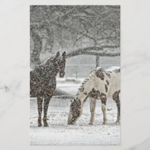 Papelaria cavalo inverno neve fazenda rancho animais nevado