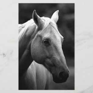 Papelaria Cavalo Preto Branco