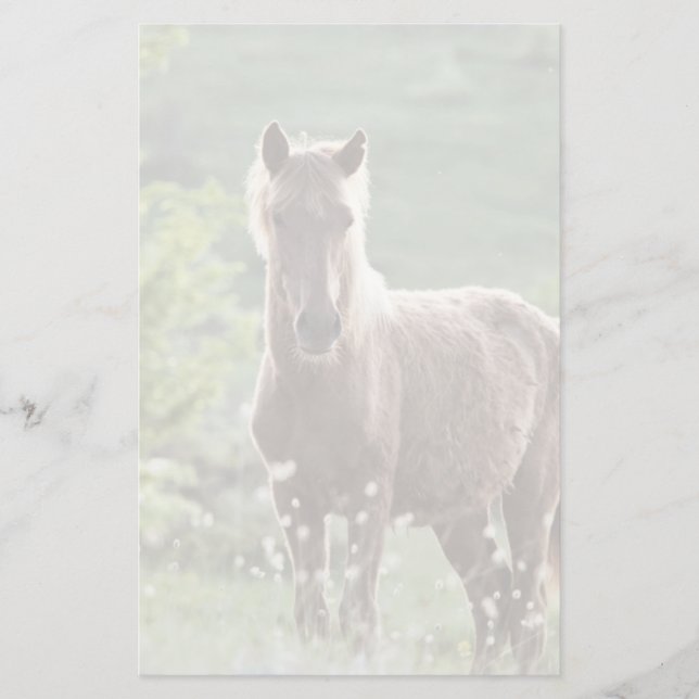 Papelaria Cavalos (Frente)