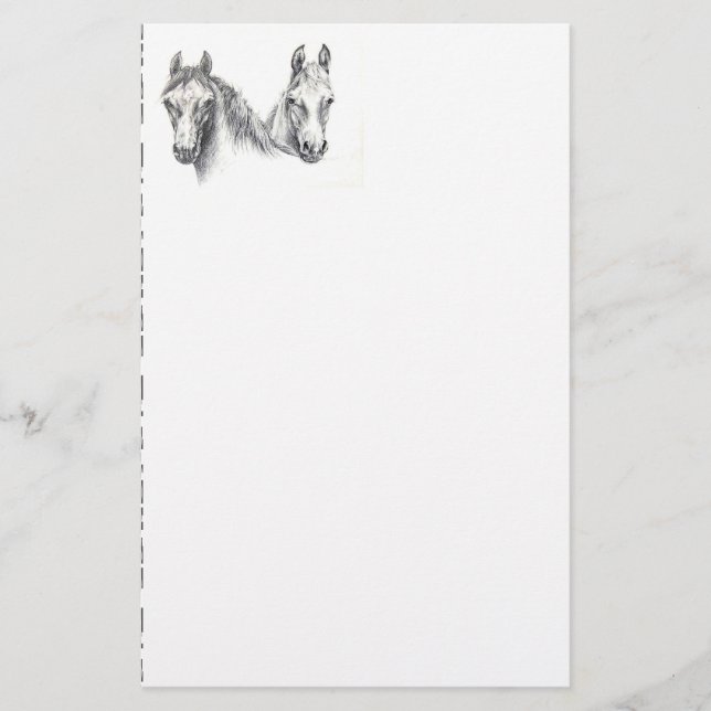 Papelaria Cavalos (Frente)