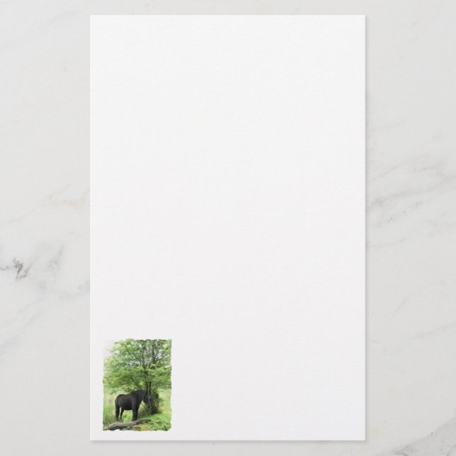 PAPELARIA CAVALOS (Frente)