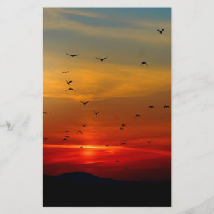 Papelaria Céu Atmosférico, pôr do sol, pássaros, linda f