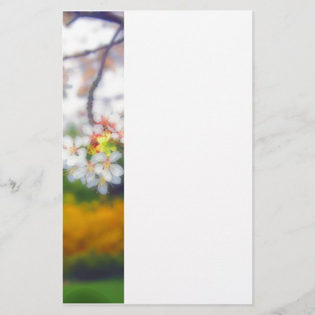 Papelaria Cherry Blossom Fantasy (Frente)