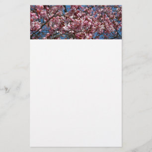 Papelaria Cherry Blossoms e Blue Sky Primavera Floral