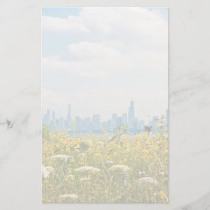 Papelaria Chicago como visto pelo pássaro de Montrose Harbo