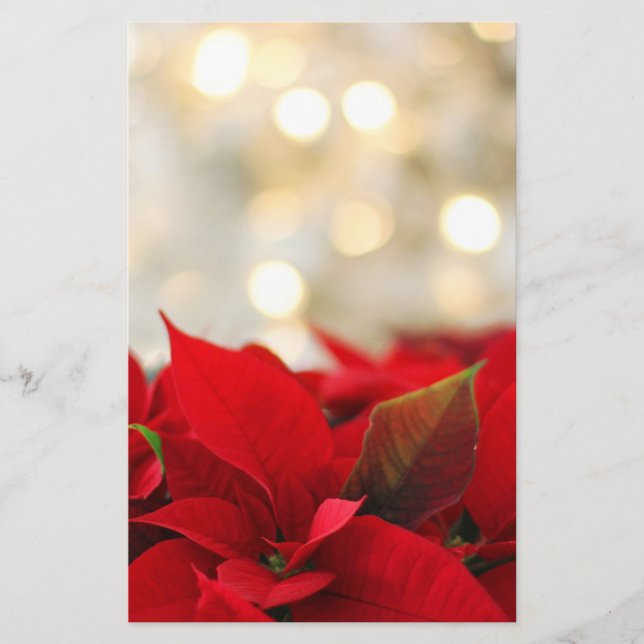 Papelaria Christmas Poinsettia (Frente)