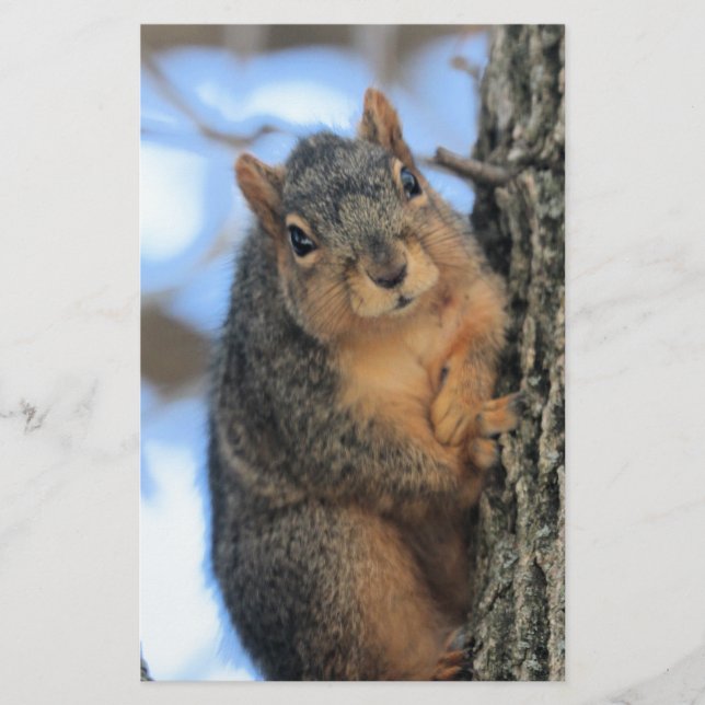 Papelaria Chubby (Frente)