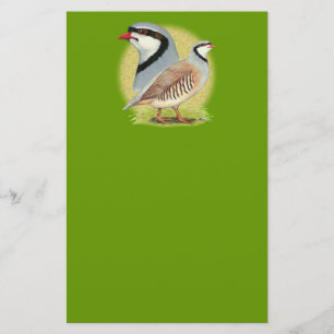 Papelaria Chukar Partridge Combo