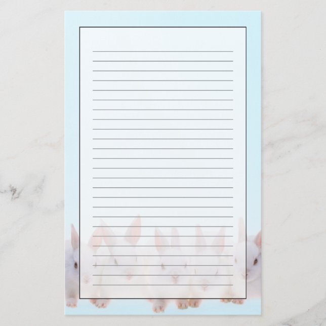 Papelaria Cinco coelhos (Frente)