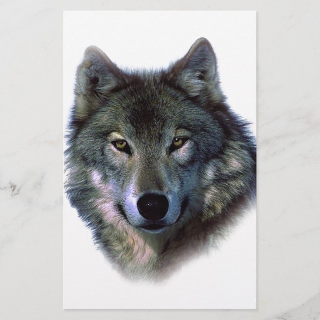 Papelaria Cinza Wolf Eyes (Frente)