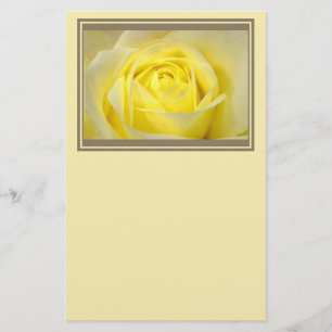 Papelaria Close up do rosa amarelo