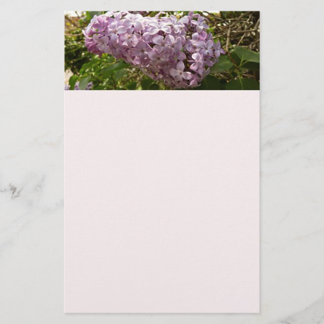 Papelaria Cluster de Lilac Blossoms Primavera Floral (Frente)