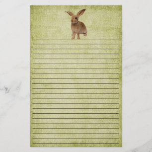 Papelaria Coelhinho De Disquete Bonito - Papel De Carta
