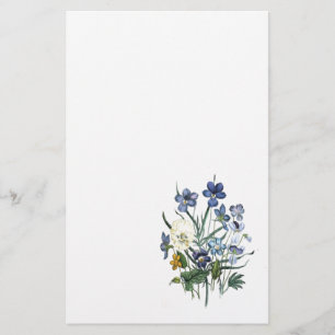 Papelaria Coleção de Flores