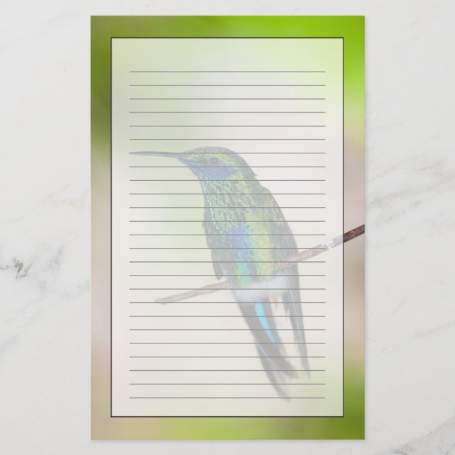 Papelaria Colibri verde da Violeta-orelha (Frente)