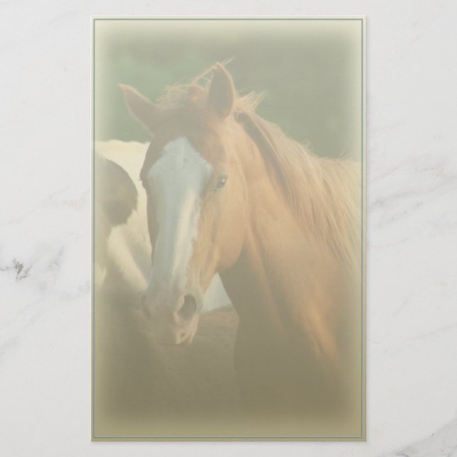 Papelaria com Retrato de Cavalo (Frente)