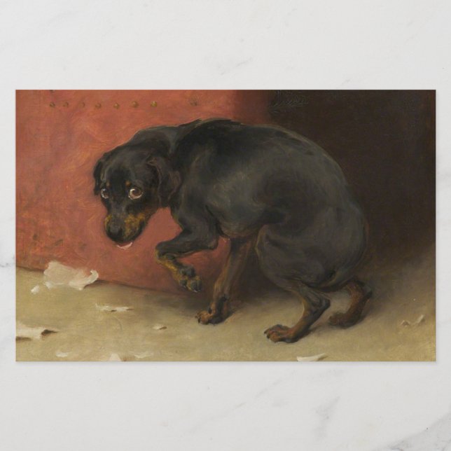 Papelaria Consciência Faz Borricas De Todos Nós (Frente)