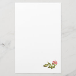Papelaria Cor d'água rosa selvagem