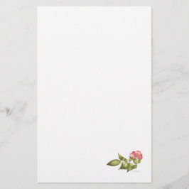 Papelaria Cor d'água rosa selvagem