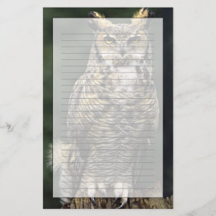 Papelaria Coruja-americana (Bubo virginianus), corpo inteiro