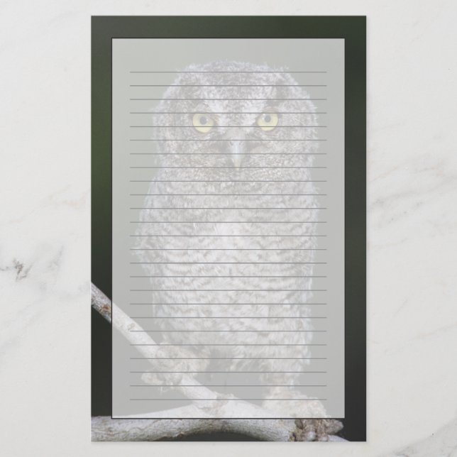 Papelaria Coruja Oriental, Megastiras, Sio, Otus 2 (Frente)