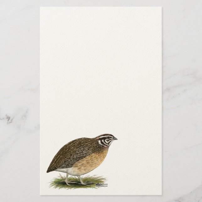 Papelaria Coturnix Pharaoh Quail (Frente)