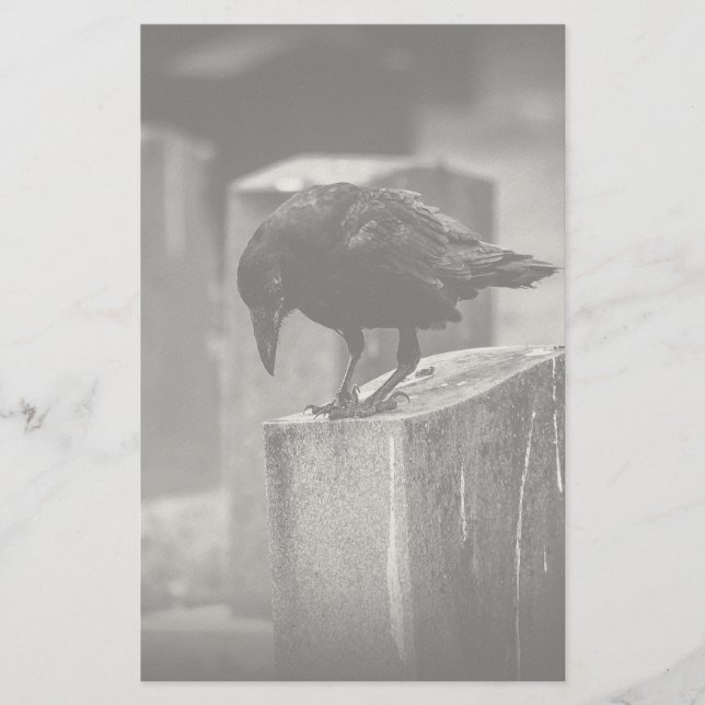 Papelaria Crow do Cemitério de Queda (Frente)