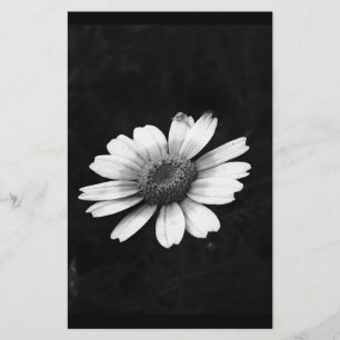 Papelaria Crown Daisy
