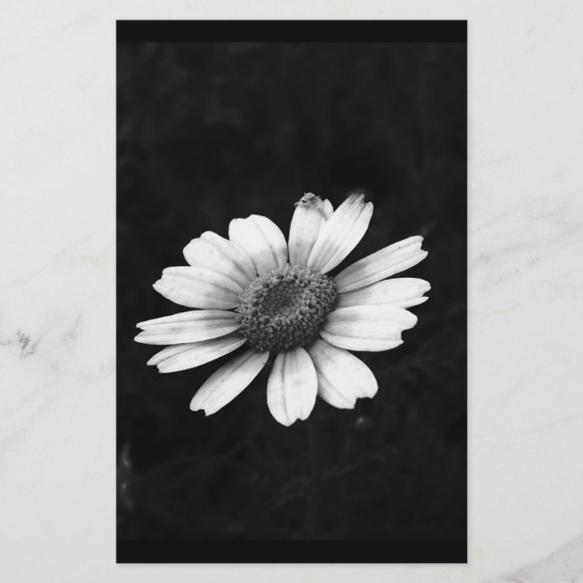 Papelaria Crown Daisy (Frente)