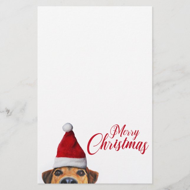 Papelaria Curioso Cachorro Engraçado com Papai Noel (Frente)