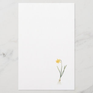Papelaria daffodil (pseudo-narciso do narciso) por Redouté