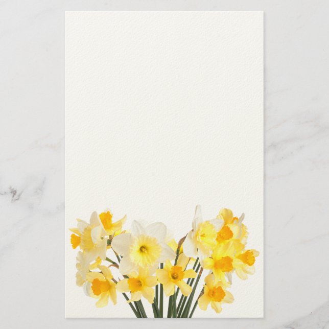 Papelaria Daffodils (Frente)