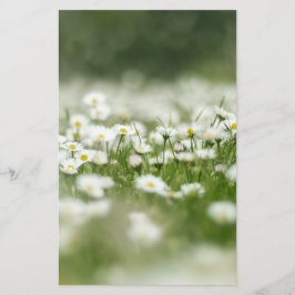 Papelaria Daisy Meadow