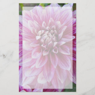 Papelaria Dália cor-de-rosa com beira