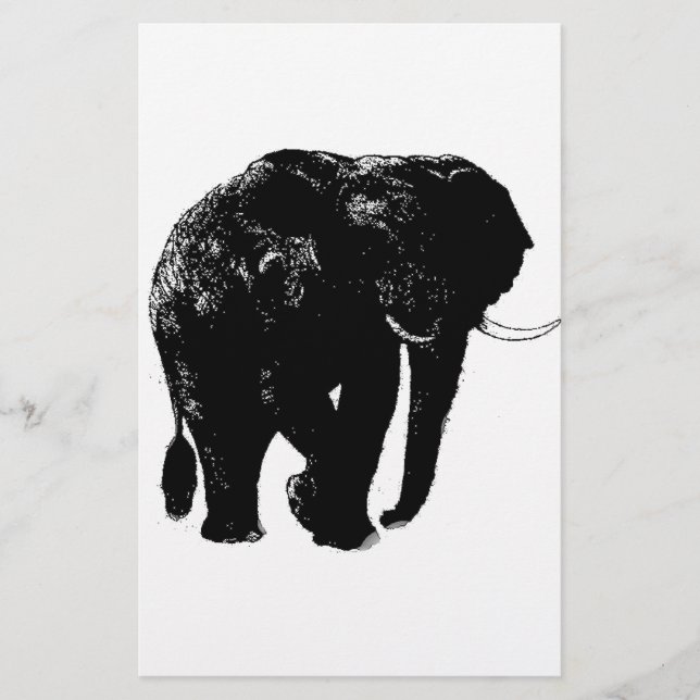 Papelaria de Elefante (Frente)