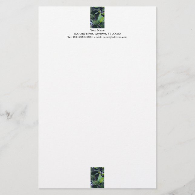 Papelaria de folhas esculturais (Frente)