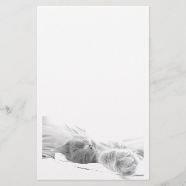 Papelaria de Gato Dormindo (Frente)