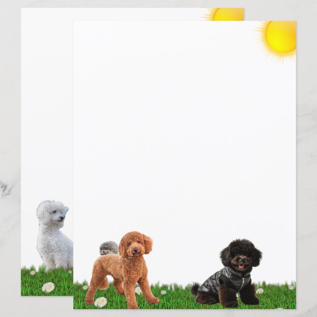 Papelaria de Poodle e Ouriço (Frente/Verso)