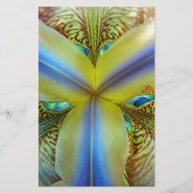 Papelaria Dentro de Iris (Frente)