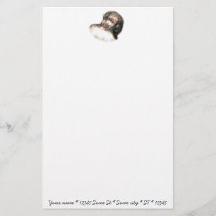 Papelaria Desativar Imagem de Ferret