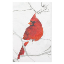 Desenho cardinal do inverno