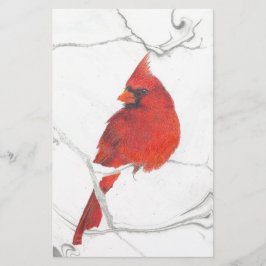 Papelaria Desenho cardinal do inverno