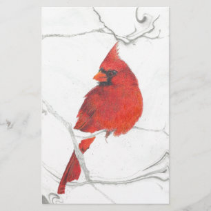 Papelaria Desenho cardinal do inverno
