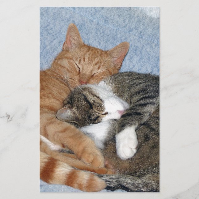 Papelaria Docinhos para dormir (Frente)