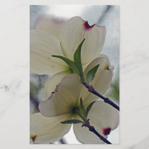 Papelaria Dogwood Blossoms