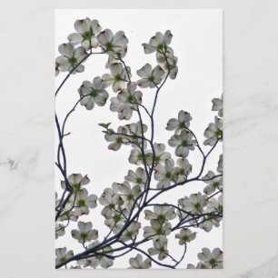Papelaria Dogwood Flor Branco