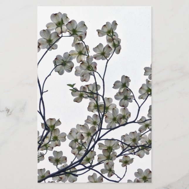 Papelaria Dogwood Flor Branco (Frente)