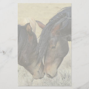 Papelaria Dois Cavalos Selvagens Marrons Nuzzling