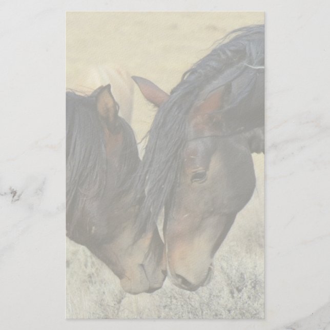 Papelaria Dois Cavalos Selvagens Marrons Nuzzling (Frente)