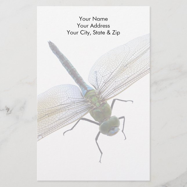 Papelaria Dragonfly (Frente)